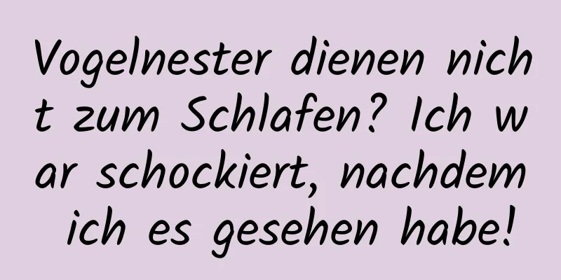 Vogelnester dienen nicht zum Schlafen? Ich war schockiert, nachdem ich es gesehen habe!