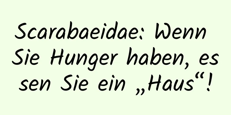 Scarabaeidae: Wenn Sie Hunger haben, essen Sie ein „Haus“!