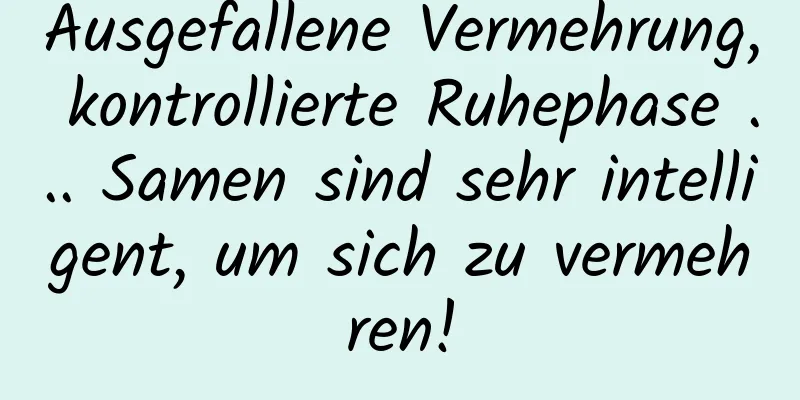 Ausgefallene Vermehrung, kontrollierte Ruhephase ... Samen sind sehr intelligent, um sich zu vermehren!