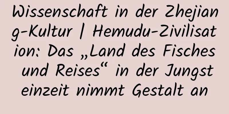 Wissenschaft in der Zhejiang-Kultur | Hemudu-Zivilisation: Das „Land des Fisches und Reises“ in der Jungsteinzeit nimmt Gestalt an