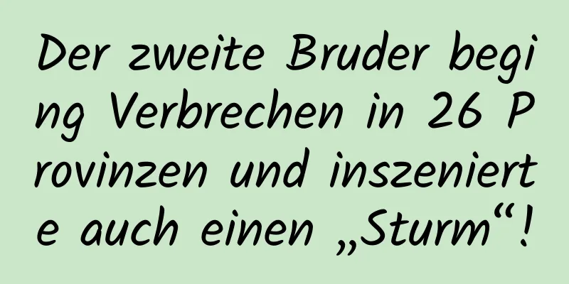 Der zweite Bruder beging Verbrechen in 26 Provinzen und inszenierte auch einen „Sturm“!