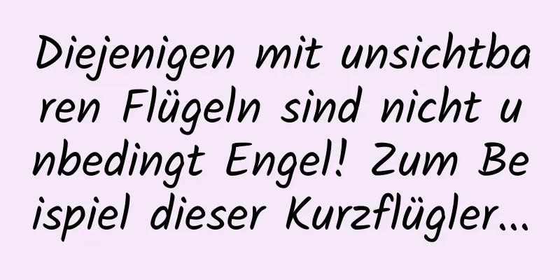 Diejenigen mit unsichtbaren Flügeln sind nicht unbedingt Engel! Zum Beispiel dieser Kurzflügler...