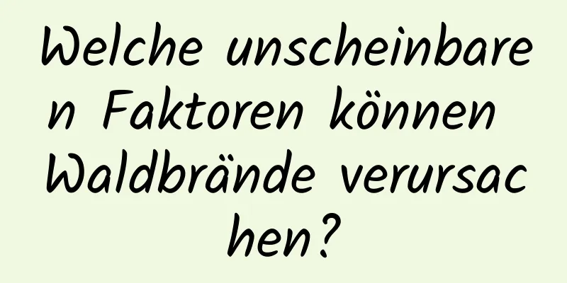 Welche unscheinbaren Faktoren können Waldbrände verursachen?