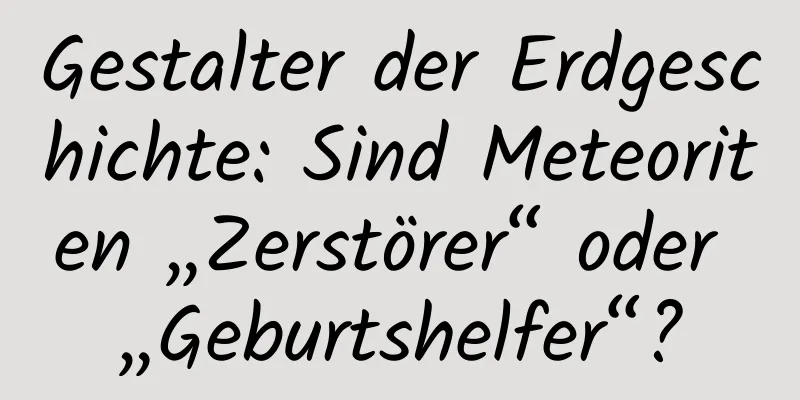Gestalter der Erdgeschichte: Sind Meteoriten „Zerstörer“ oder „Geburtshelfer“?
