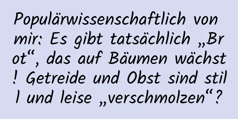 Populärwissenschaftlich von mir: Es gibt tatsächlich „Brot“, das auf Bäumen wächst! Getreide und Obst sind still und leise „verschmolzen“?