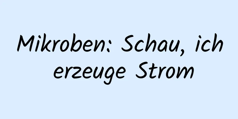 Mikroben: Schau, ich erzeuge Strom