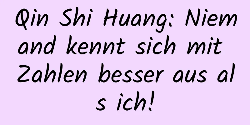 Qin Shi Huang: Niemand kennt sich mit Zahlen besser aus als ich!