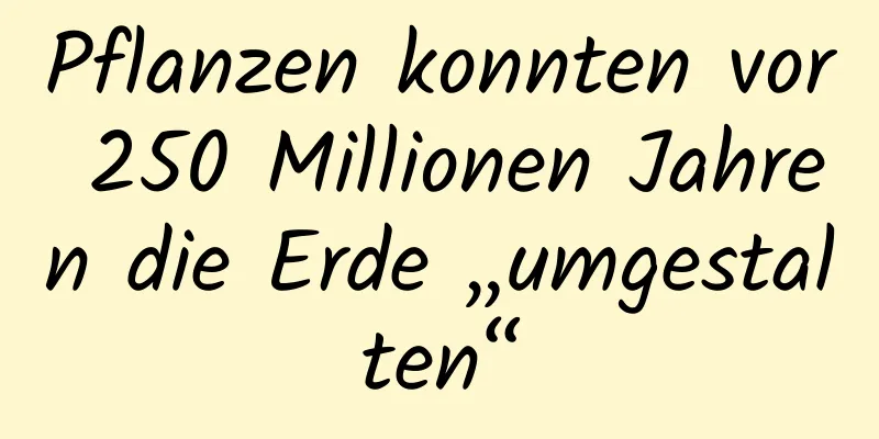 Pflanzen konnten vor 250 Millionen Jahren die Erde „umgestalten“