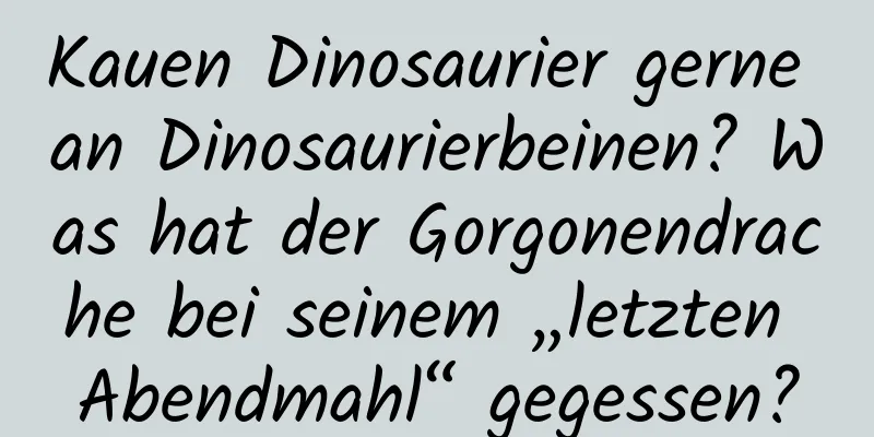 Kauen Dinosaurier gerne an Dinosaurierbeinen? Was hat der Gorgonendrache bei seinem „letzten Abendmahl“ gegessen?