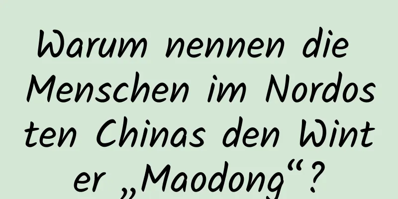 Warum nennen die Menschen im Nordosten Chinas den Winter „Maodong“?
