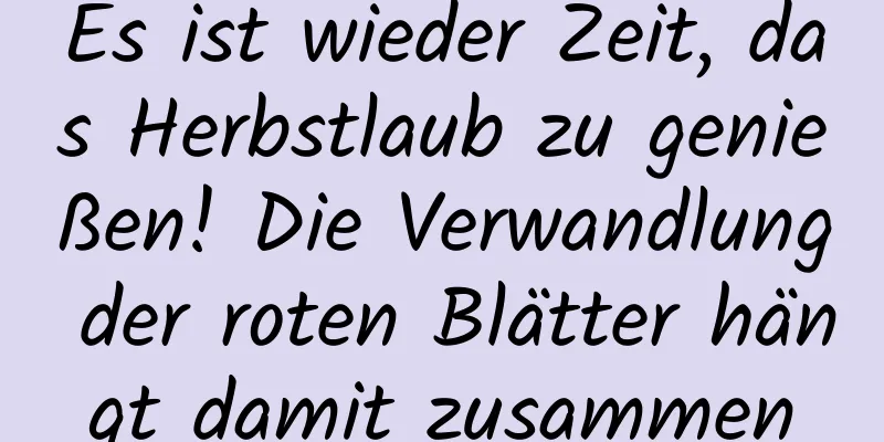 Es ist wieder Zeit, das Herbstlaub zu genießen! Die Verwandlung der roten Blätter hängt damit zusammen