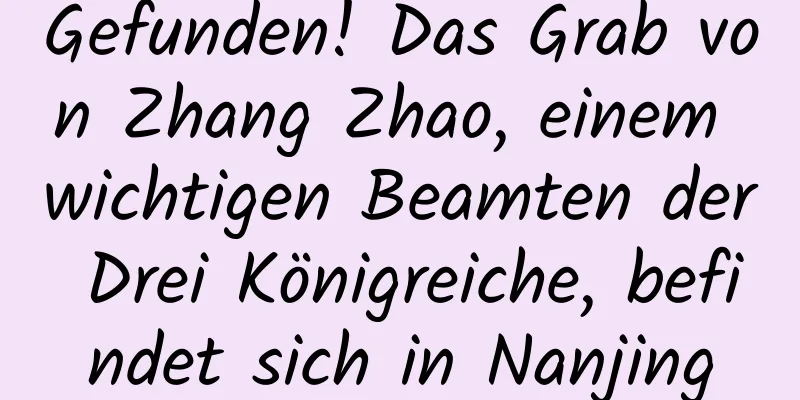 Gefunden! Das Grab von Zhang Zhao, einem wichtigen Beamten der Drei Königreiche, befindet sich in Nanjing