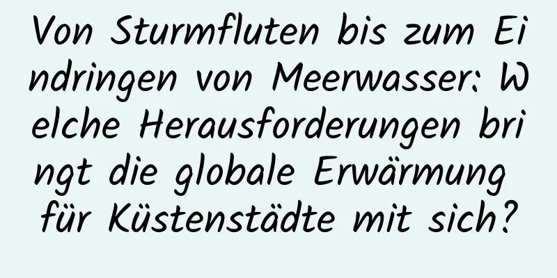 Von Sturmfluten bis zum Eindringen von Meerwasser: Welche Herausforderungen bringt die globale Erwärmung für Küstenstädte mit sich?