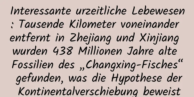 Interessante urzeitliche Lebewesen: Tausende Kilometer voneinander entfernt in Zhejiang und Xinjiang wurden 438 Millionen Jahre alte Fossilien des „Changxing-Fisches“ gefunden, was die Hypothese der Kontinentalverschiebung beweist