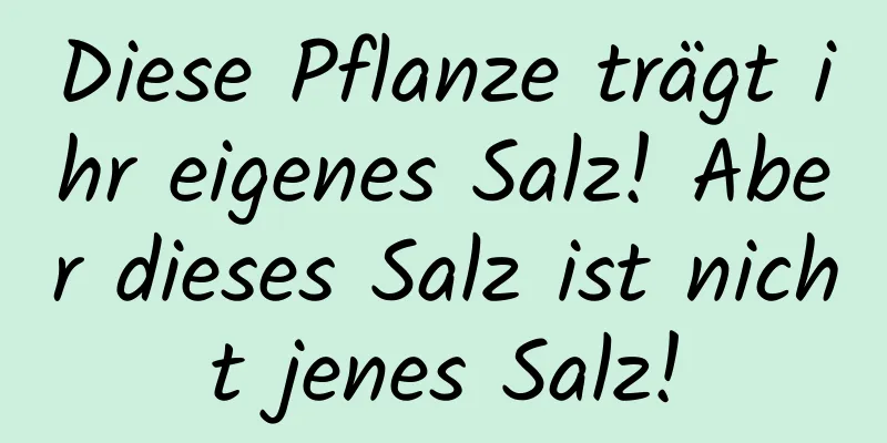 Diese Pflanze trägt ihr eigenes Salz! Aber dieses Salz ist nicht jenes Salz!