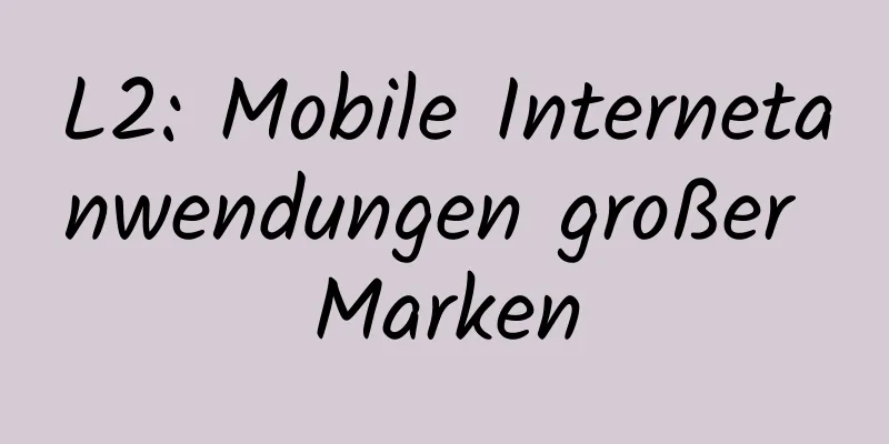 L2: Mobile Internetanwendungen großer Marken
