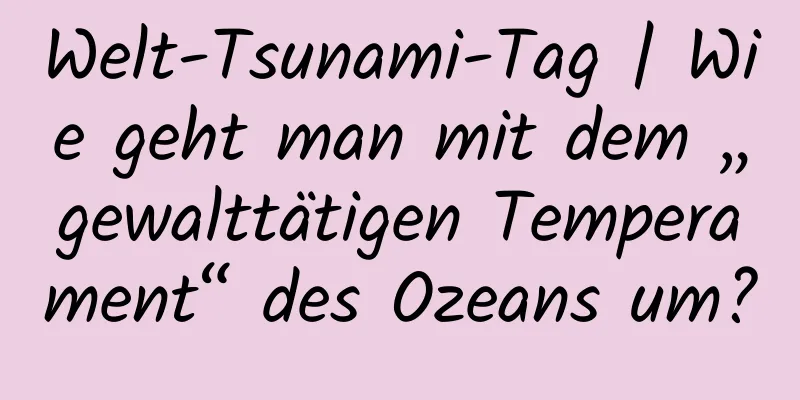 Welt-Tsunami-Tag | Wie geht man mit dem „gewalttätigen Temperament“ des Ozeans um?