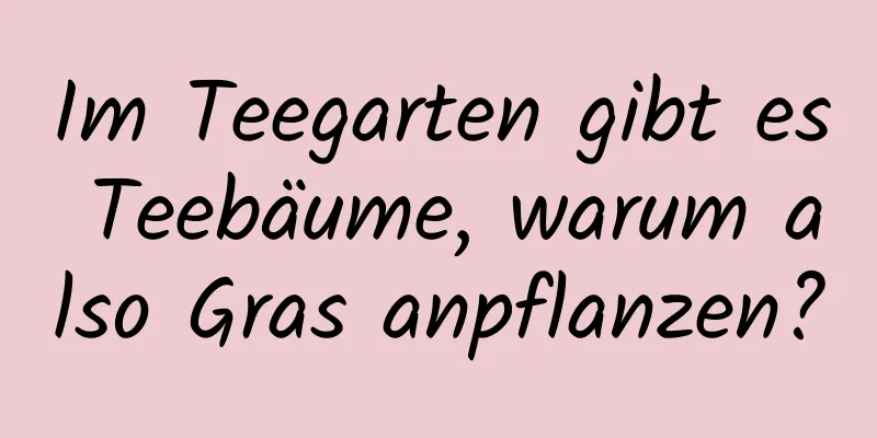 Im Teegarten gibt es Teebäume, warum also Gras anpflanzen?