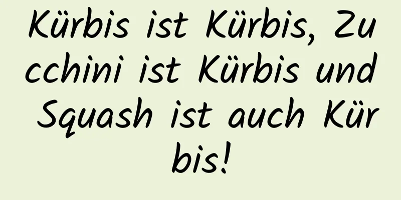 Kürbis ist Kürbis, Zucchini ist Kürbis und Squash ist auch Kürbis!