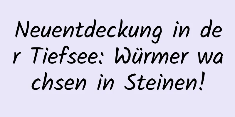 Neuentdeckung in der Tiefsee: Würmer wachsen in Steinen!