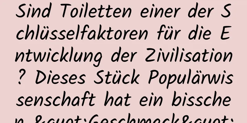 Sind Toiletten einer der Schlüsselfaktoren für die Entwicklung der Zivilisation? Dieses Stück Populärwissenschaft hat ein bisschen "Geschmack"