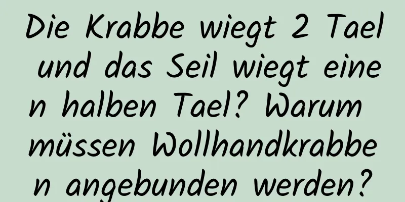 Die Krabbe wiegt 2 Tael und das Seil wiegt einen halben Tael? Warum müssen Wollhandkrabben angebunden werden?