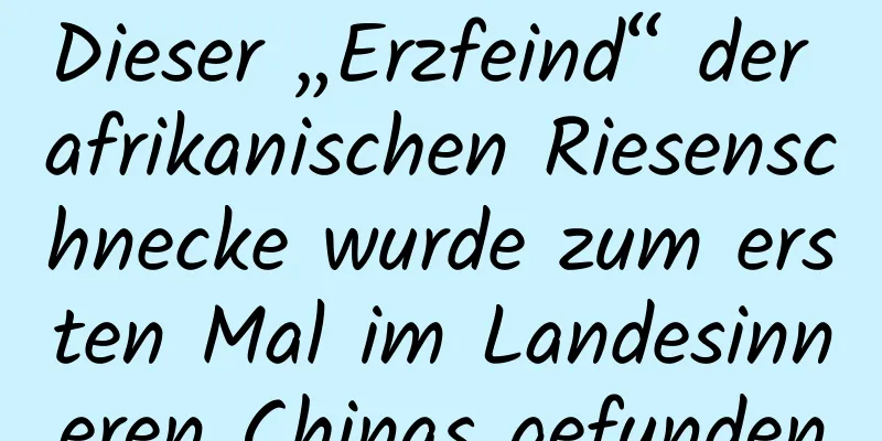 Dieser „Erzfeind“ der afrikanischen Riesenschnecke wurde zum ersten Mal im Landesinneren Chinas gefunden