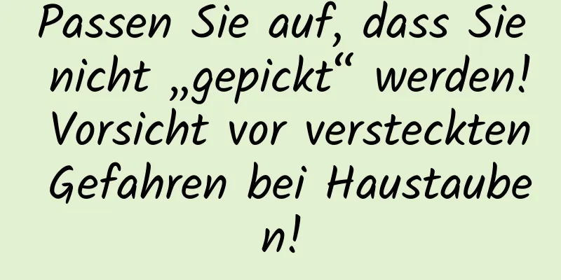 Passen Sie auf, dass Sie nicht „gepickt“ werden! Vorsicht vor versteckten Gefahren bei Haustauben!