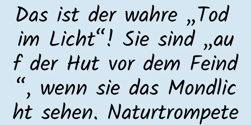 Das ist der wahre „Tod im Licht“! Sie sind „auf der Hut vor dem Feind“, wenn sie das Mondlicht sehen. Naturtrompete