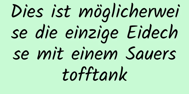 Dies ist möglicherweise die einzige Eidechse mit einem Sauerstofftank