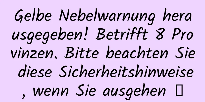 Gelbe Nebelwarnung herausgegeben! Betrifft 8 Provinzen. Bitte beachten Sie diese Sicherheitshinweise, wenn Sie ausgehen →