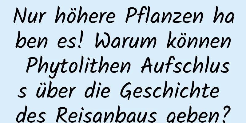 Nur höhere Pflanzen haben es! Warum können Phytolithen Aufschluss über die Geschichte des Reisanbaus geben?