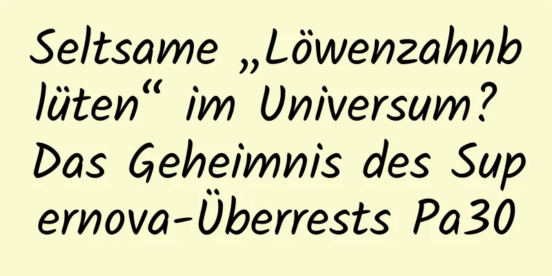 Seltsame „Löwenzahnblüten“ im Universum? Das Geheimnis des Supernova-Überrests Pa30