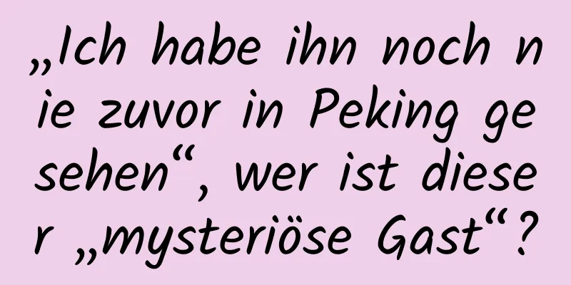 „Ich habe ihn noch nie zuvor in Peking gesehen“, wer ist dieser „mysteriöse Gast“?