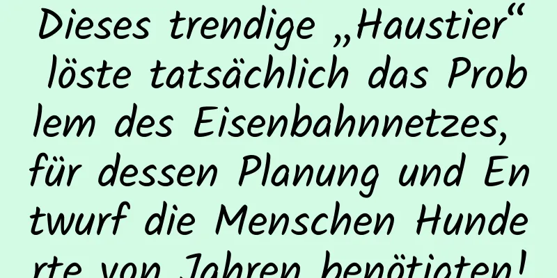 Dieses trendige „Haustier“ löste tatsächlich das Problem des Eisenbahnnetzes, für dessen Planung und Entwurf die Menschen Hunderte von Jahren benötigten!
