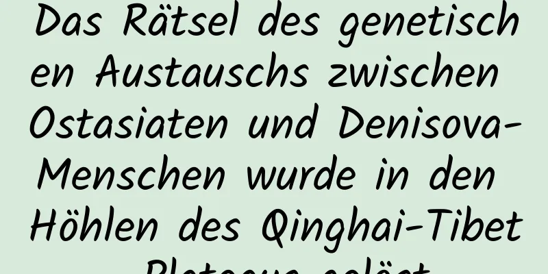 Das Rätsel des genetischen Austauschs zwischen Ostasiaten und Denisova-Menschen wurde in den Höhlen des Qinghai-Tibet-Plateaus gelöst