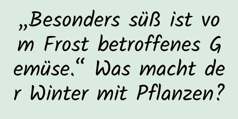 „Besonders süß ist vom Frost betroffenes Gemüse.“ Was macht der Winter mit Pflanzen?
