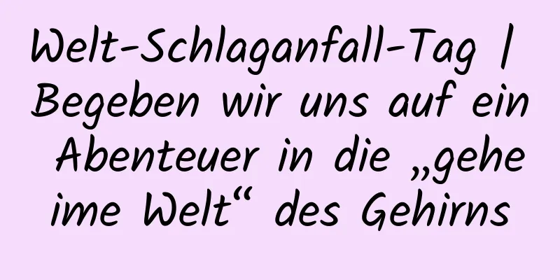 Welt-Schlaganfall-Tag | Begeben wir uns auf ein Abenteuer in die „geheime Welt“ des Gehirns