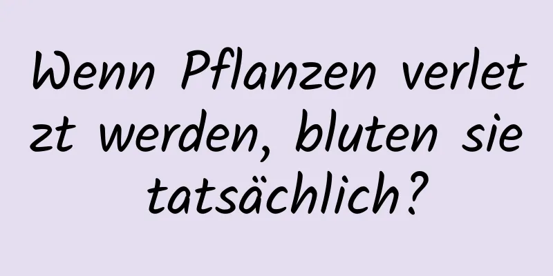 Wenn Pflanzen verletzt werden, bluten sie tatsächlich?