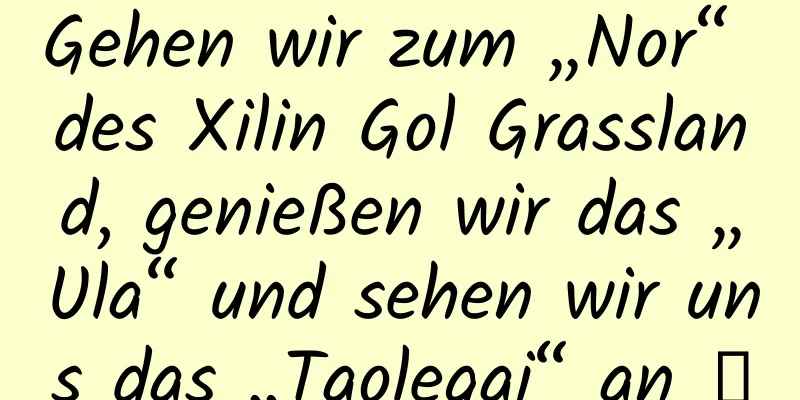 Gehen wir zum „Nor“ des Xilin Gol Grassland, genießen wir das „Ula“ und sehen wir uns das „Taolegai“ an →