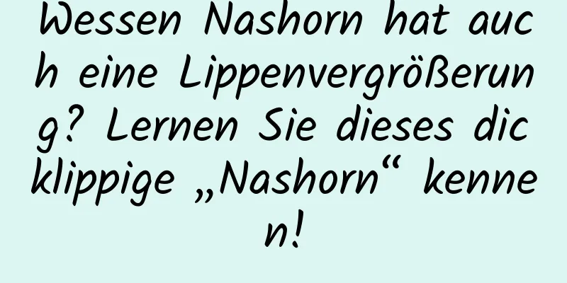 Wessen Nashorn hat auch eine Lippenvergrößerung? Lernen Sie dieses dicklippige „Nashorn“ kennen!