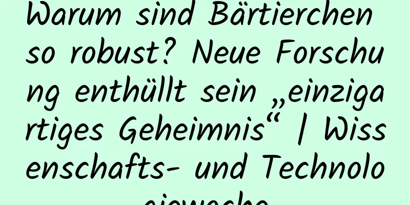 Warum sind Bärtierchen so robust? Neue Forschung enthüllt sein „einzigartiges Geheimnis“ | Wissenschafts- und Technologiewoche