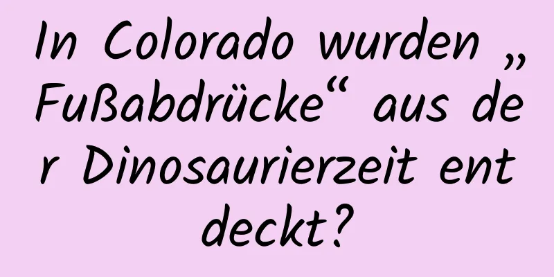 In Colorado wurden „Fußabdrücke“ aus der Dinosaurierzeit entdeckt?