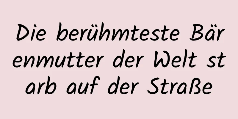 Die berühmteste Bärenmutter der Welt starb auf der Straße
