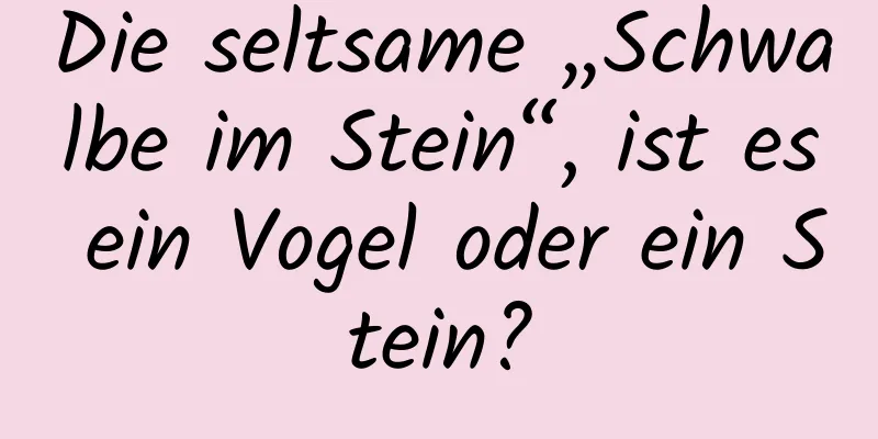 Die seltsame „Schwalbe im Stein“, ist es ein Vogel oder ein Stein?