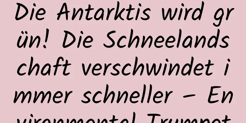 Die Antarktis wird grün! Die Schneelandschaft verschwindet immer schneller – Environmental Trumpet