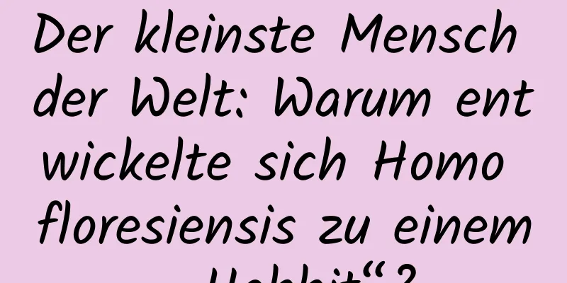 Der kleinste Mensch der Welt: Warum entwickelte sich Homo floresiensis zu einem „Hobbit“?