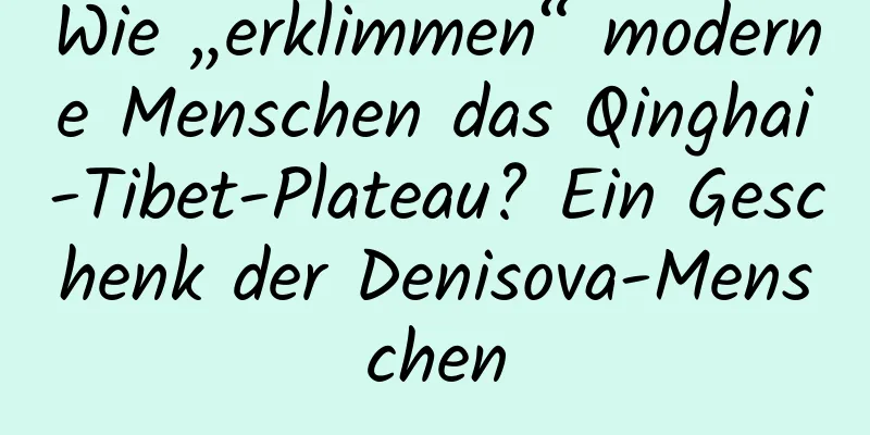 Wie „erklimmen“ moderne Menschen das Qinghai-Tibet-Plateau? Ein Geschenk der Denisova-Menschen