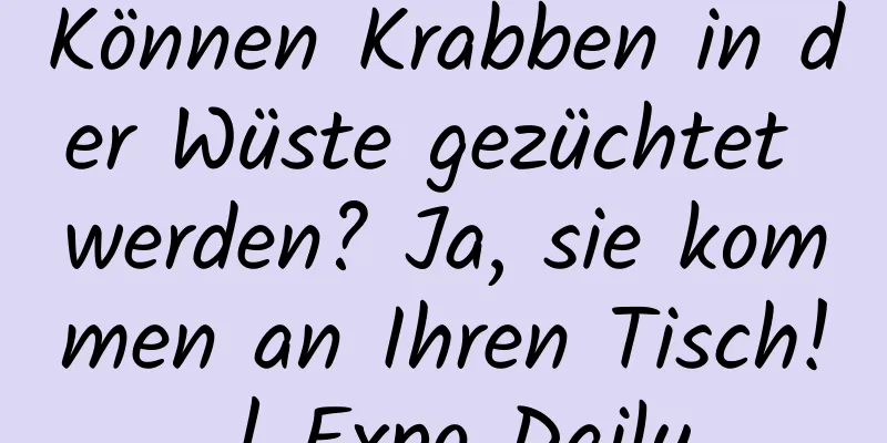Können Krabben in der Wüste gezüchtet werden? Ja, sie kommen an Ihren Tisch! | Expo Daily