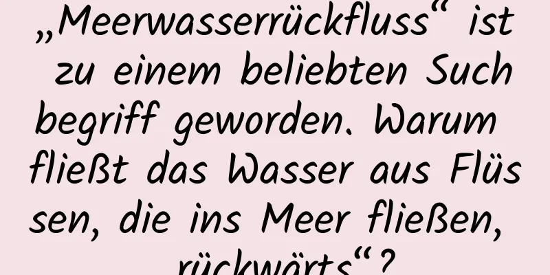 „Meerwasserrückfluss“ ist zu einem beliebten Suchbegriff geworden. Warum fließt das Wasser aus Flüssen, die ins Meer fließen, „rückwärts“?
